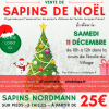 Vente de sapins-FB Affiches Vente de sapins de Noël